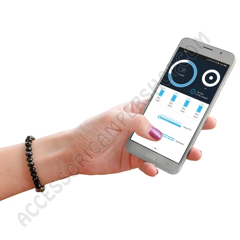 Batteria Litio 100Ah con Bluetooth e Riscaldamento | Accessoricampershop.com