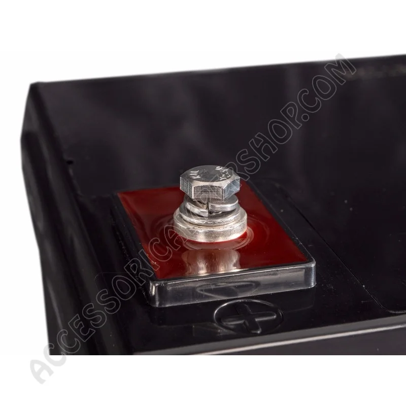 Batteria AGM 60AH Carbest per Camper e Caravan | Accessoricampershop.com
