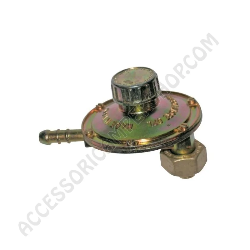 Regolatore Gas Bassa Pressione Verticale Omologato | Accessoricampershop.com