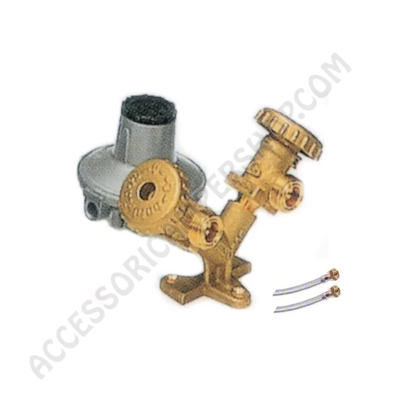 Mini Centralina Gas con Regolatore 30 mbar | Accessoricampershop.com