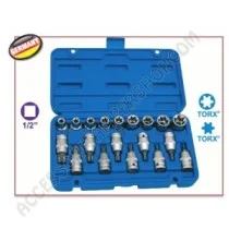 Cassetta Bussole Torx per Utensili Essenziali | Accessoricampershop.com