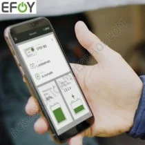 Cella a Combustibile EFOY 80 per Camper e Caravan | Accessoricampershop.com